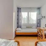Goscinne Kamieniec 26b