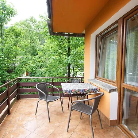 Goscinne Kamieniec 26b