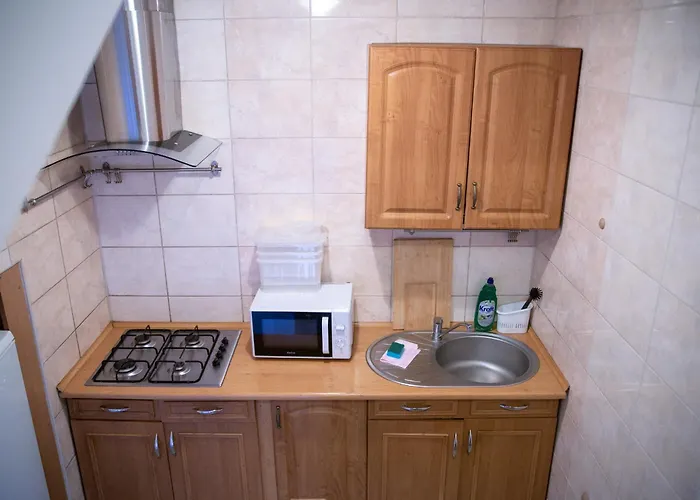 Goscinne Kamieniec 26b ホームステイ